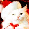 obymy's Avatar